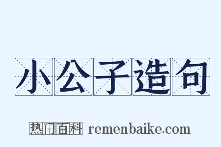 小公子造句是什么意思的图片